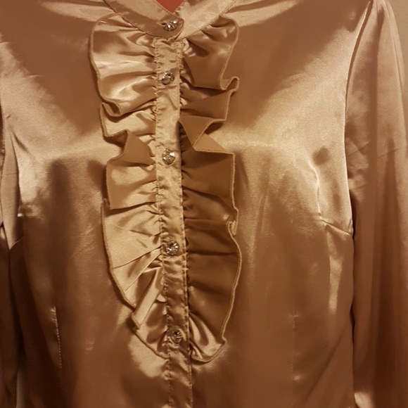 😍😍Price Drop😍😍NWOT Fancy Blouse - Picture 4 of 4